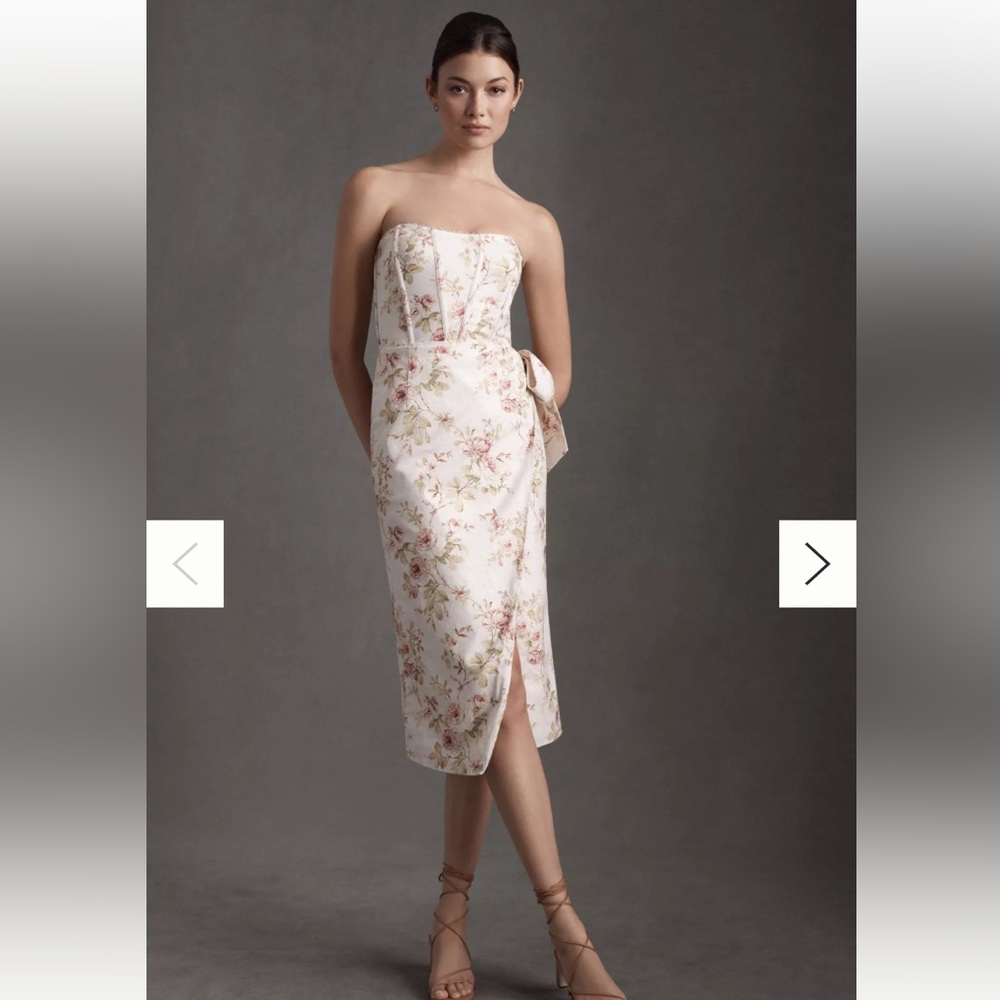 V. CHAPMAN LILIANA LINEN MIDI DRESS Anthropologie Size 10